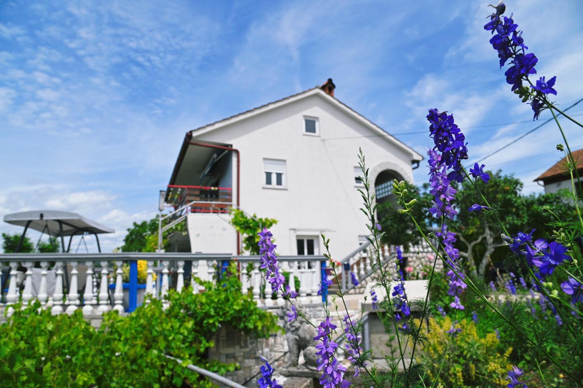 Apartments Biondi Viskovo Exterior photo